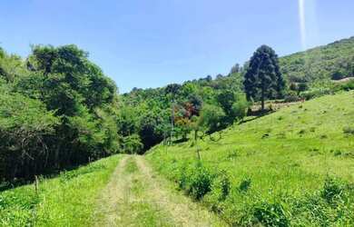 Imagem 15: Sítio à Venda em Gramado