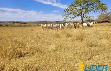 Imagem: A fazenda possui 5m² de Área e está localizado em Centro
