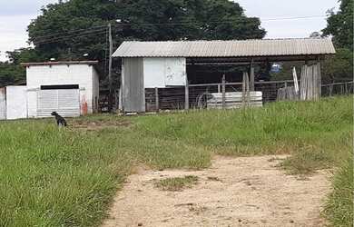 Imagem 2: Fazenda no Goiás. 