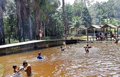 Imagem 8: Vendo balneário situado no km 16 da BR 174 com 275m de frente por 150...