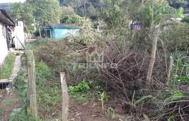 Imagem 7: Terreno em Igrejinha. te222