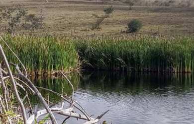 Imagem 1: Fazenda 2.195 Hectares. 