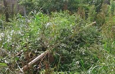 Imagem 15: Terreno para Venda em Planta Meireles Sobrinho Piraquara-PR