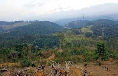 Imagem: O terreno possui 600m² de Área e está localizado em Centro