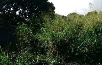 Imagem: O terreno possui 800m² de Área e está localizado em Guaratiba