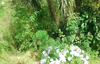 Imagem 1: Terreno para Venda em Planta Meireles Sobrinho Piraquara-PR