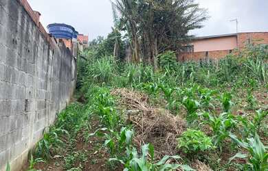 Imagem 8: Vendo ou troco por apartamento