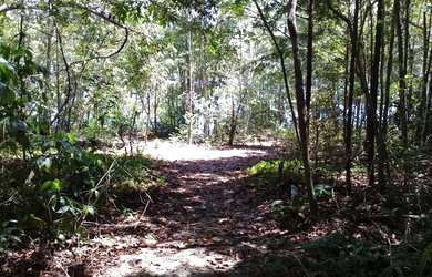 Imagem: O terreno possui 250m² de Área e está localizado em Ponta