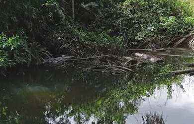 Imagem 5: Vende-se FAZENDA. 