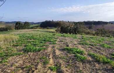 Imagem 13: 48AN-1SFMDU0 Terreno / lote com venda por R$90.000