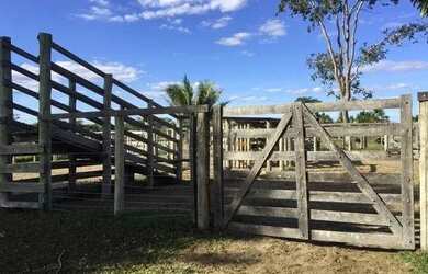 Imagem 2: Fazenda na Chapada Gaúcha em Minas Gerais, à venda com 1.016ha