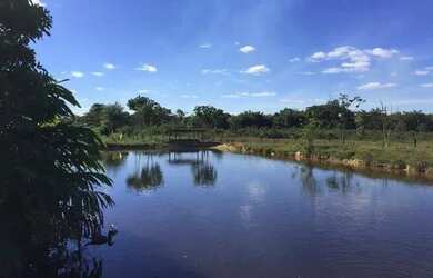 Imagem 9: Fazenda na Chapada Gaúcha em Minas Gerais, à venda com 1.016ha