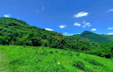 Imagem 11: Sítio à Venda em Gramado