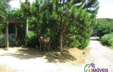 Imagem 4: AREA - LARANJA AZEDA - SP