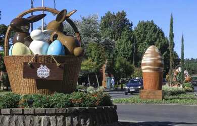 Imagem 4: Terreno - Bairro Floresta