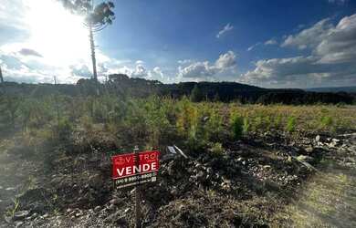 Imagem 4: Terreno à Venda em Gramado