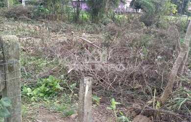 Imagem 3: Terreno em Igrejinha. te222