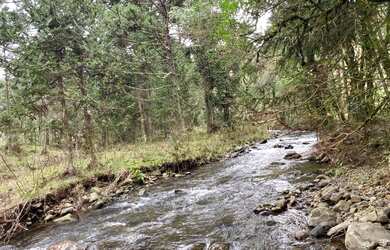 Imagem: A chácara à venda possui e está localizado em Urubici, SC