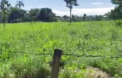 Imagem: A fazenda está localizado em Hidrolândia, GO à venda por