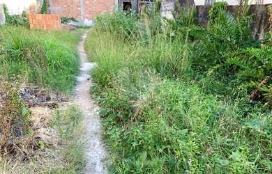 Imagem: O terreno possui 48m² de Área e está localizado em Rocha