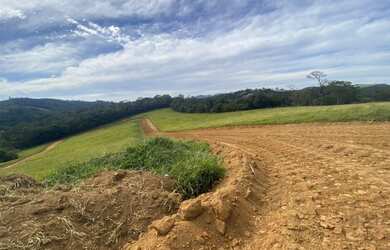 Imagem 1: Lote/Terreno para venda com 600 metros quadrados em Vicente Nunes - Nazaré...