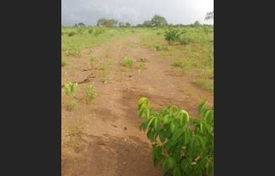 Imagem 7: .Uma Excelente Fazenda 235 alqueires no Vale do Araguaia TO
