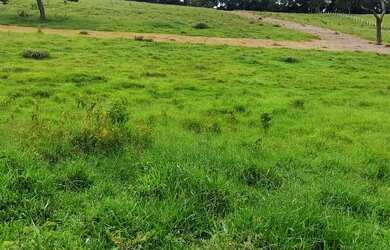 Imagem 2: Investimento certo aqui. 500m² de Área