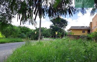 Imagem 6: Terreno à venda- Res. Novo Mundo- 175 m² por R$ 122.000 - Campinas/SP