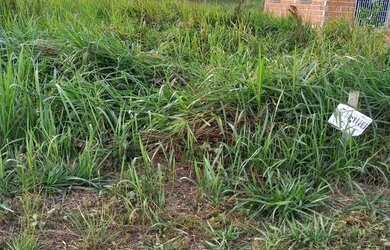 Imagem: O terreno possui 9.000m² de Área e está localizado em Bahia