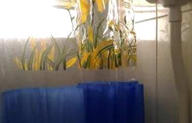 Imagem 4: Lins Alugo Quitinete. 1 Banheiroe1 Dormitório