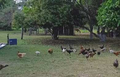 Imagem 8: Vende-se FAZENDA. 