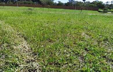 Imagem: O terreno possui 428m² de Área e está localizado em Vila