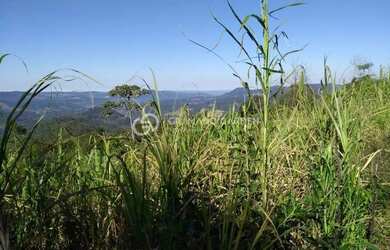 Imagem 8: SÍTIO À VENDA VÁRZEA GRANDE - GRAMADO/RS