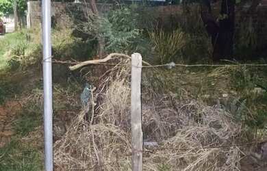 Imagem 3: Lote Araguari. 300m² de Área