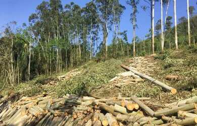 Imagem 2: Area - Bairro Arroio Paixão