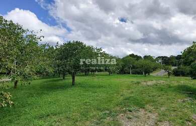 Imagem 2: TERRENO EM GRAMADO. 800m² de Área