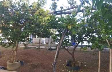 Imagem 5: Casa a venda - Parque Residencial Maison Blanche, Valinhos