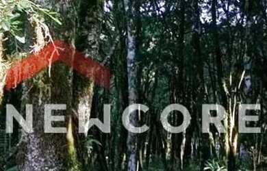 Imagem: O terreno possui 628m² de Área e está localizado em Canela