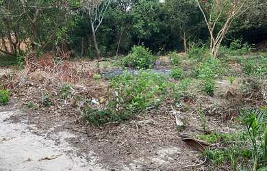 Imagem 15: VENDO TERRENO EM PANAQUATIRA