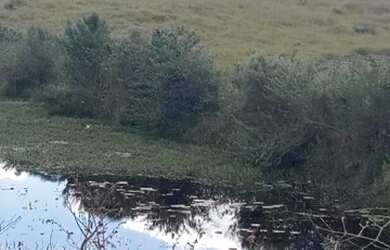 Imagem 12: Fazenda 2.195 Hectares. 