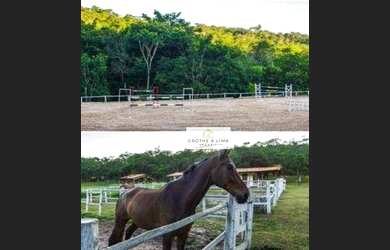 Imagem 3: Hotel Fazenda Brasilia. Churrasqueira, Varanda, Área de serviçoe5.000m²...