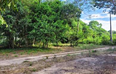 Imagem: O terreno possui 405m² de Área e está localizado em Interventoria