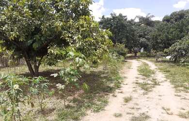 Imagem 6: Lote/Terreno para venda tem 3400 metros quadrados