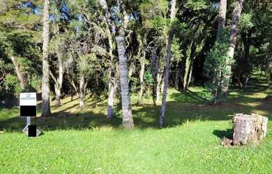 Imagem: O terreno possui 595m² de Área e está localizado em Centro