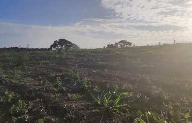 Imagem 11: 48AN-MQBI20 Terreno / lote com venda por R$90.000