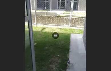 Imagem 7: Vendo apartamento. Piscina, Imóvel novo, 1 Vaga na garageme2 Dormitórios