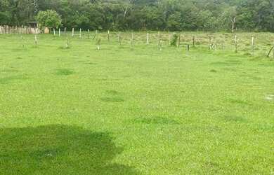 Imagem: O terreno possui 600m² de Área e está localizado em Centro