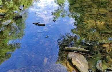 Imagem 6: Excelente fazenda com 687 hectares à venda na região de Pirapora/MG