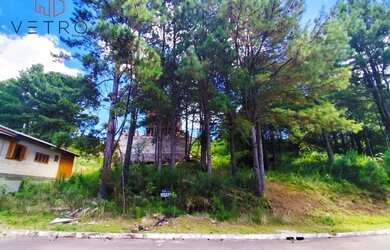 Imagem 2: Terreno à Venda em Gramado
