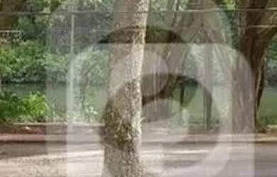 Imagem 2: SELECIONE - Apartamento 2 quartos, sendo 1 suíte